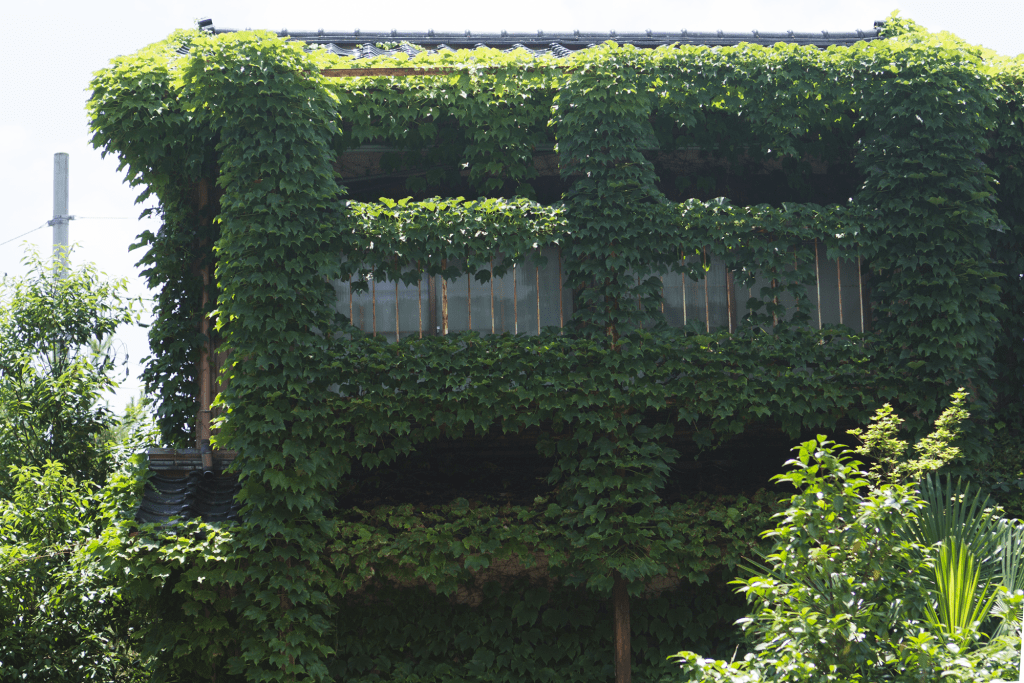 植物と建物が一体化